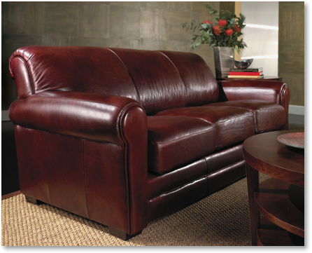 Leather surfaces are permeable. Over time the leather surface will absorb human and pet oils. All leather types should be maintained. We can clean many different leather hide finishes. Some of the these finishes that we clean include Aniline, Semi-Aniline, Nappa, Suede and Nubuck.